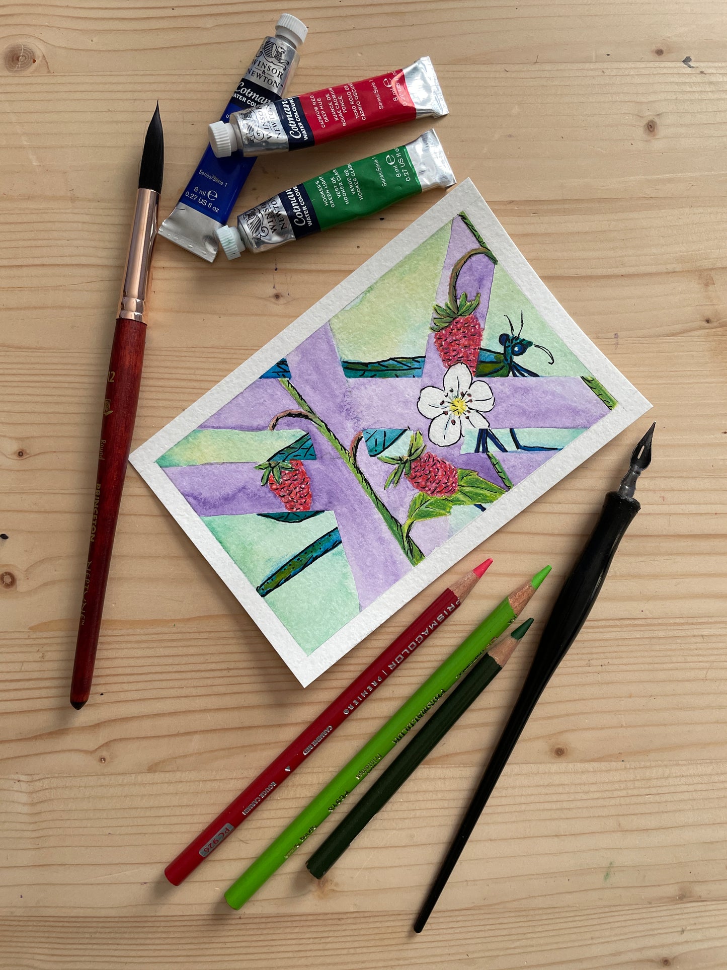 Dragonfly and Strawberries Mini Artwork Origianl