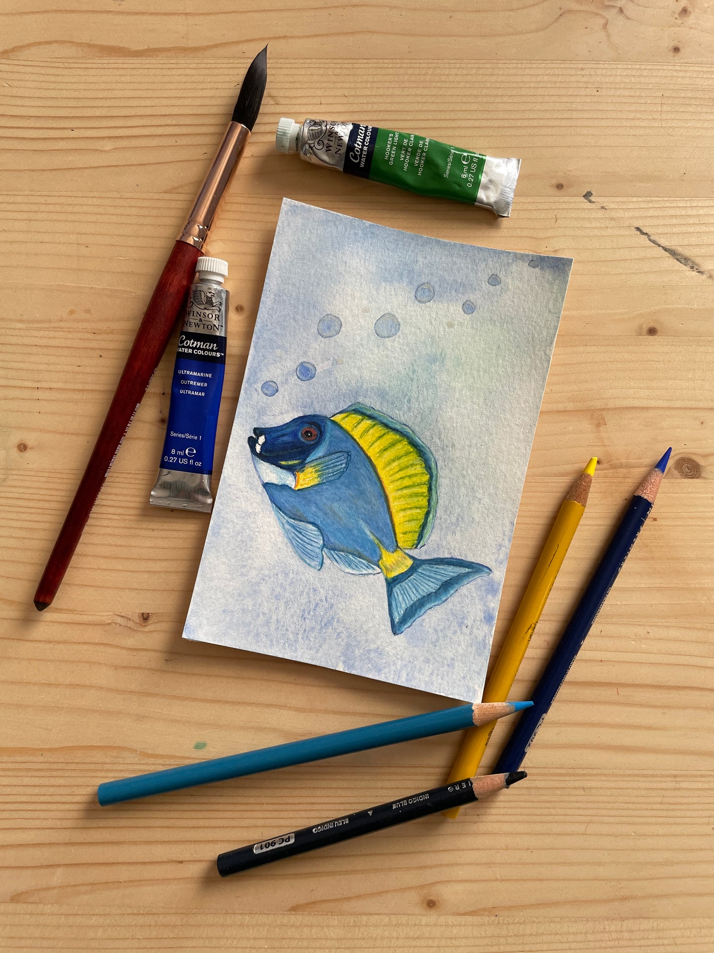 Powder Blue Tang Mini Artwork Original