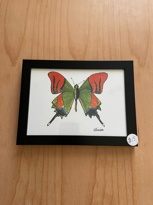 Framed 5x7 Prints
