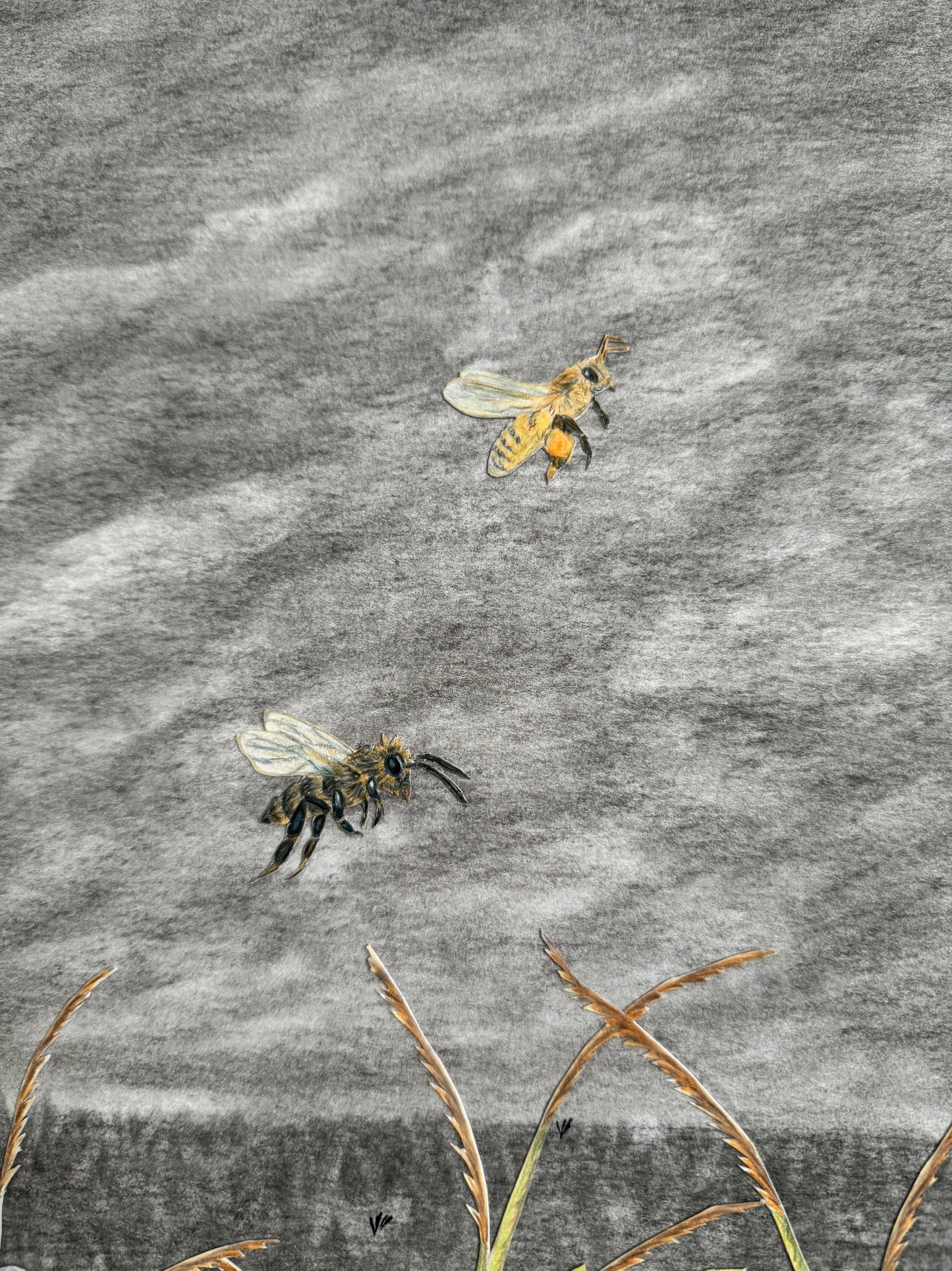 Desolation Without Pollination Original Artwork