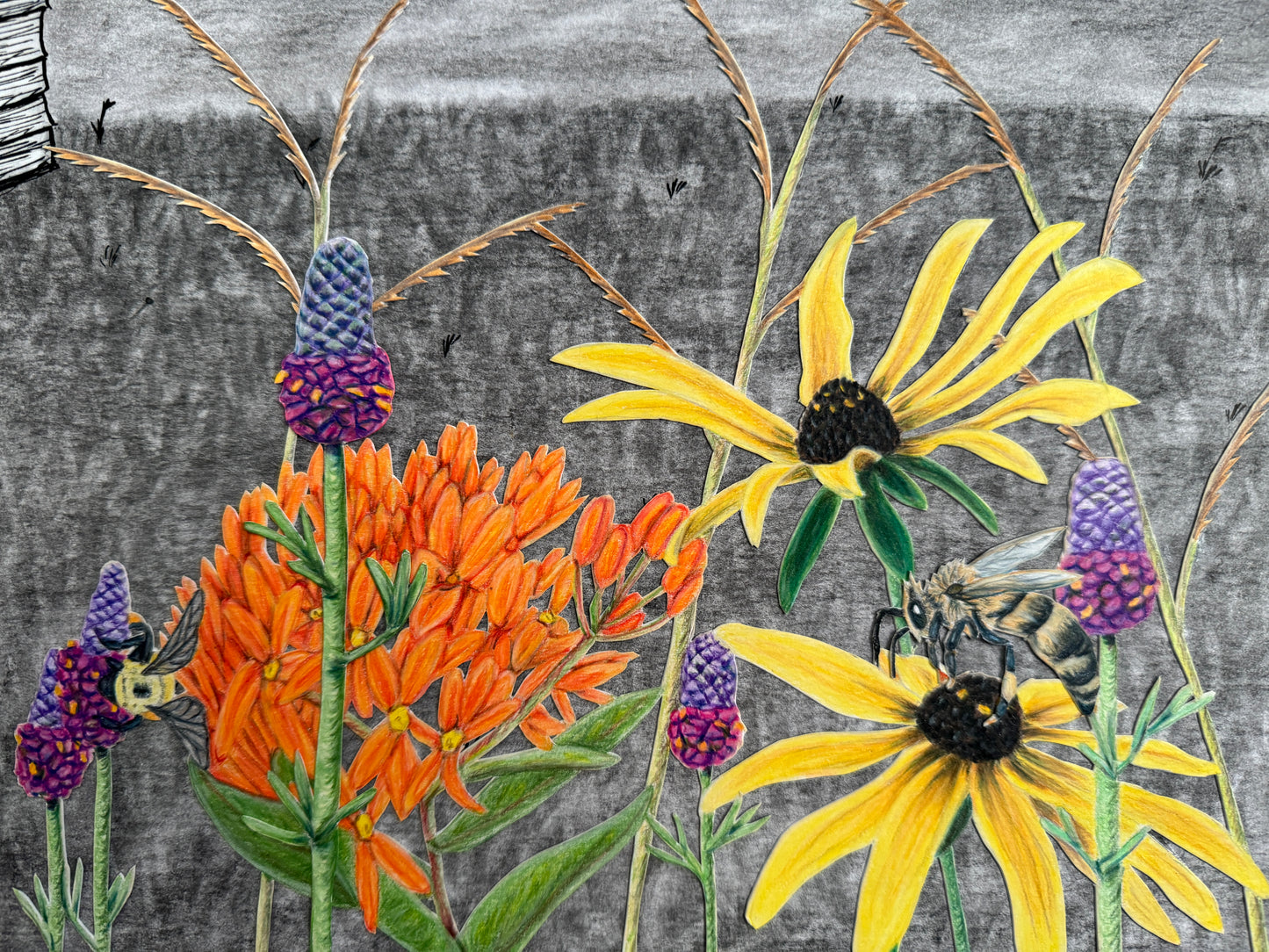 Desolation Without Pollination Original Artwork