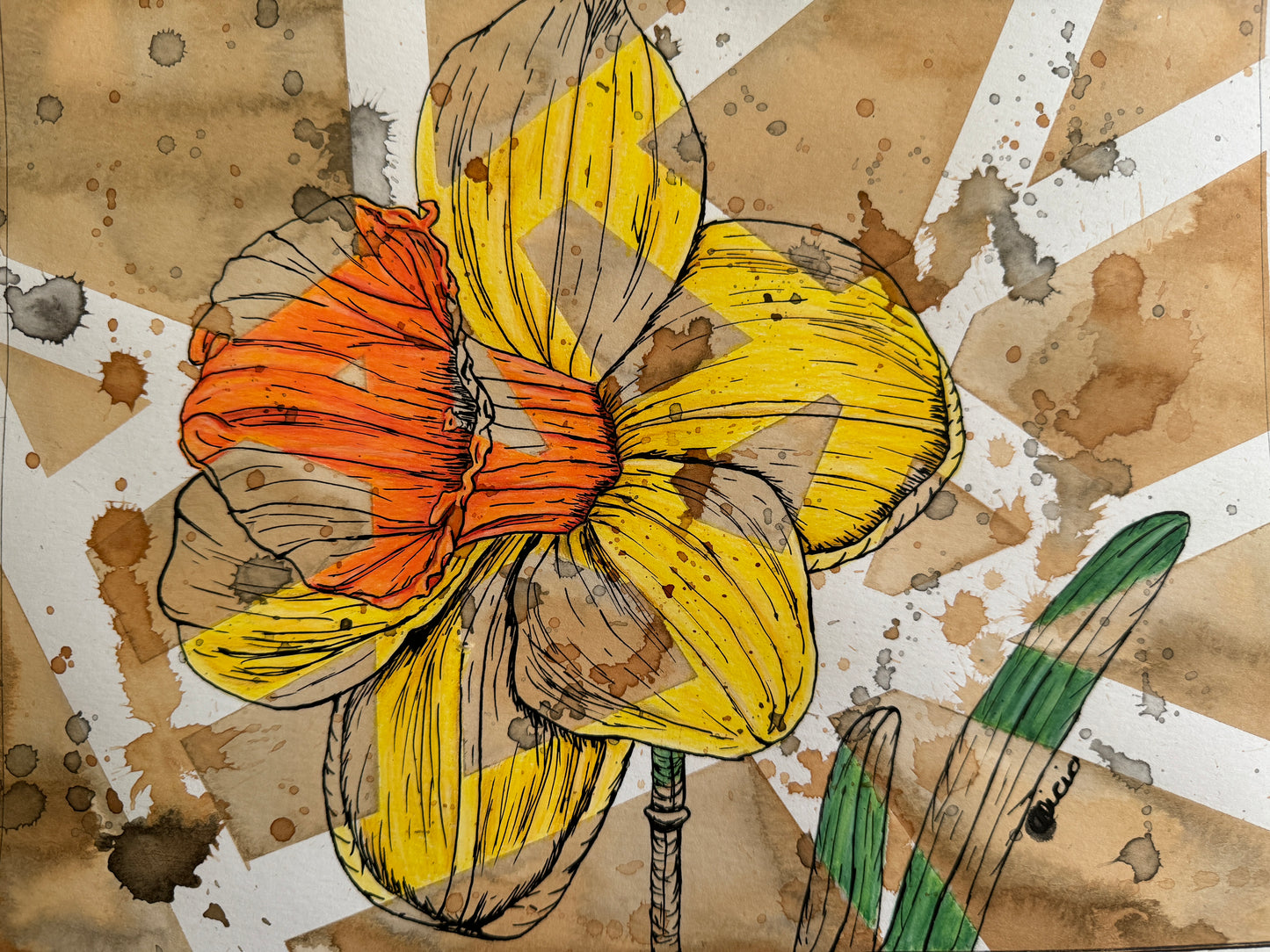 Daffodil Flower Drawing Original Artwork