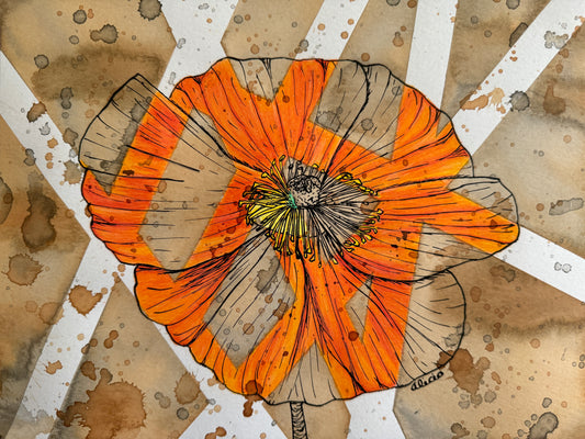 Poppy Flower Drawing Original Artwork