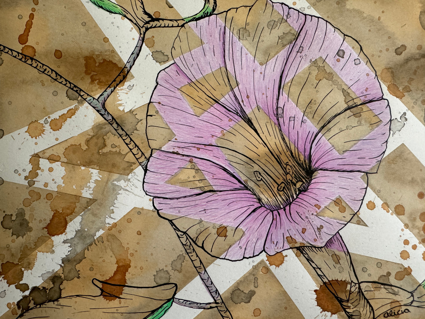 Morning Glory Flower Drawing Original Artwork