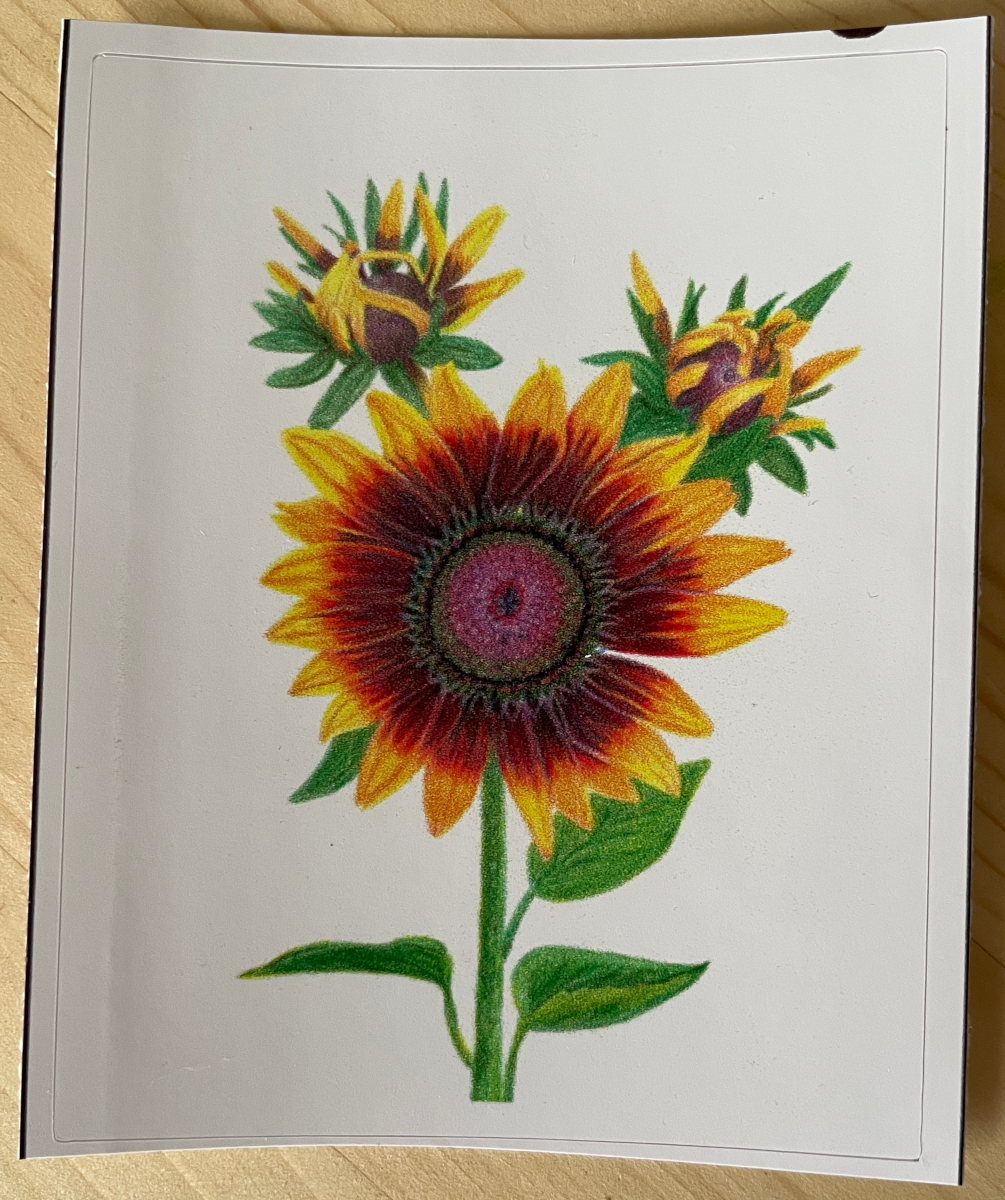 Sunflowers Sticker