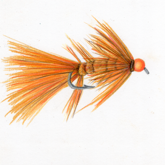 Woolly Bugger Fly Print