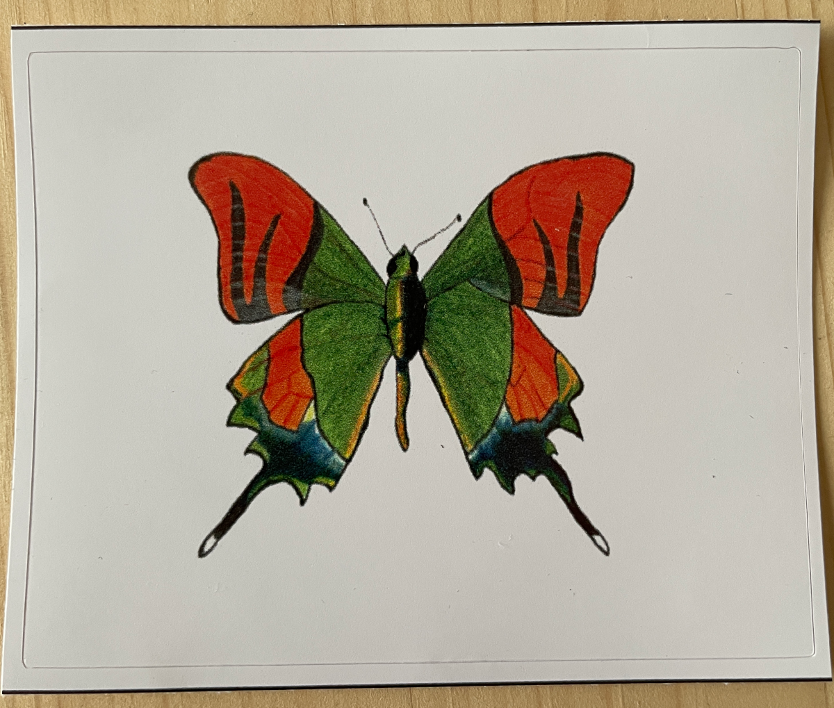 Orange and Green Butterfly Sticker