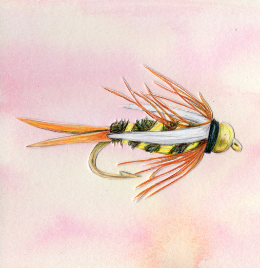 Prince Nymph Fly Print With Color Background