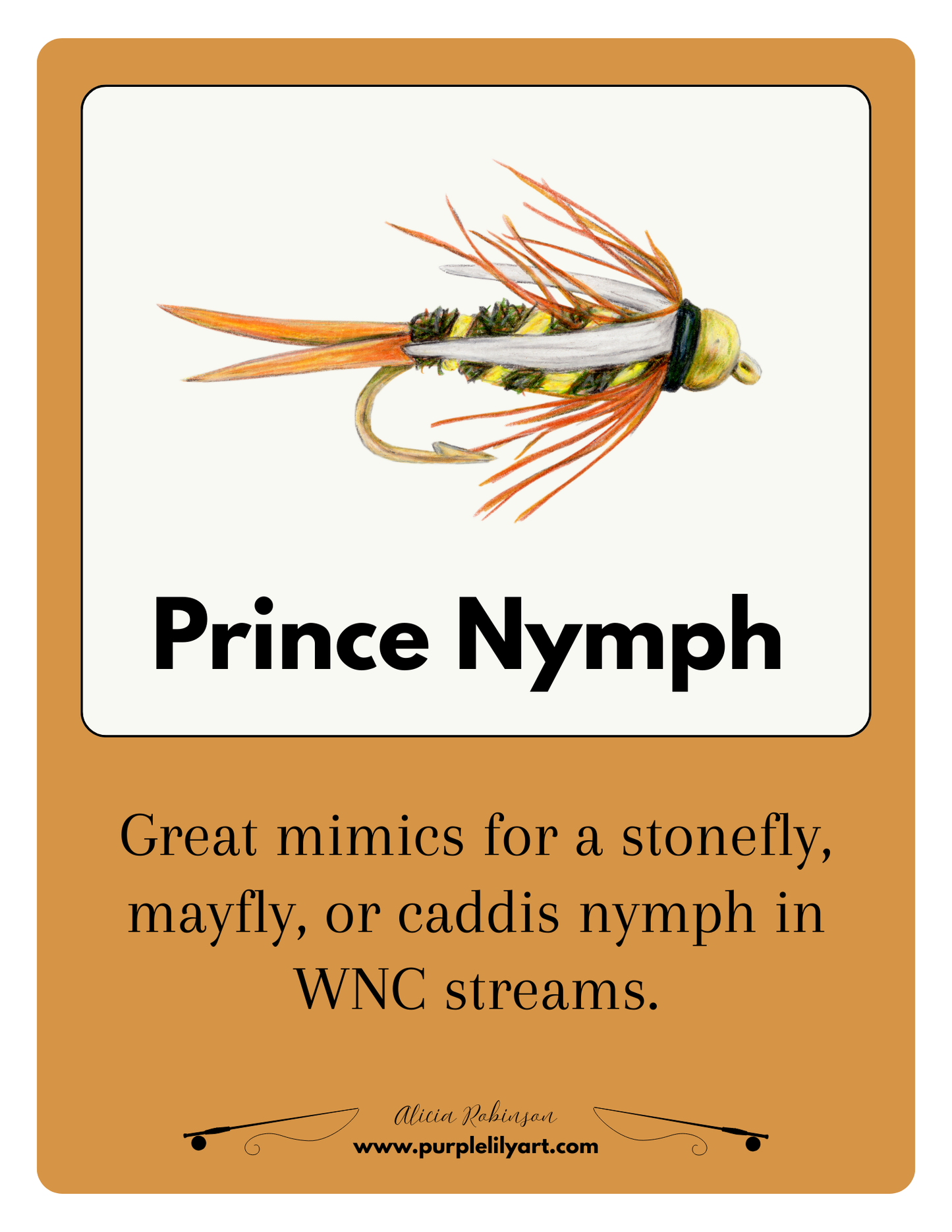 Fly Fishing Subscription
