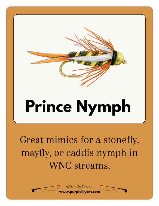 Fly Fishing Subscription