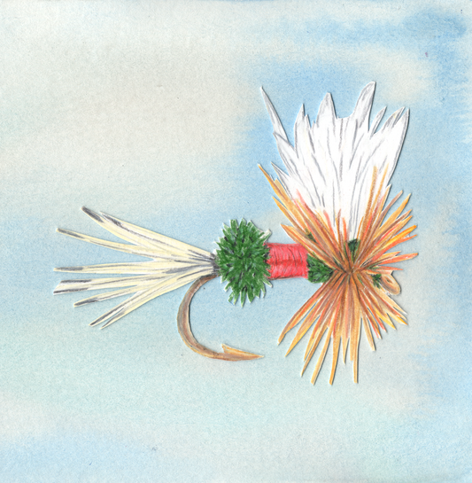 Royal Wulff Fly Print With Color Background