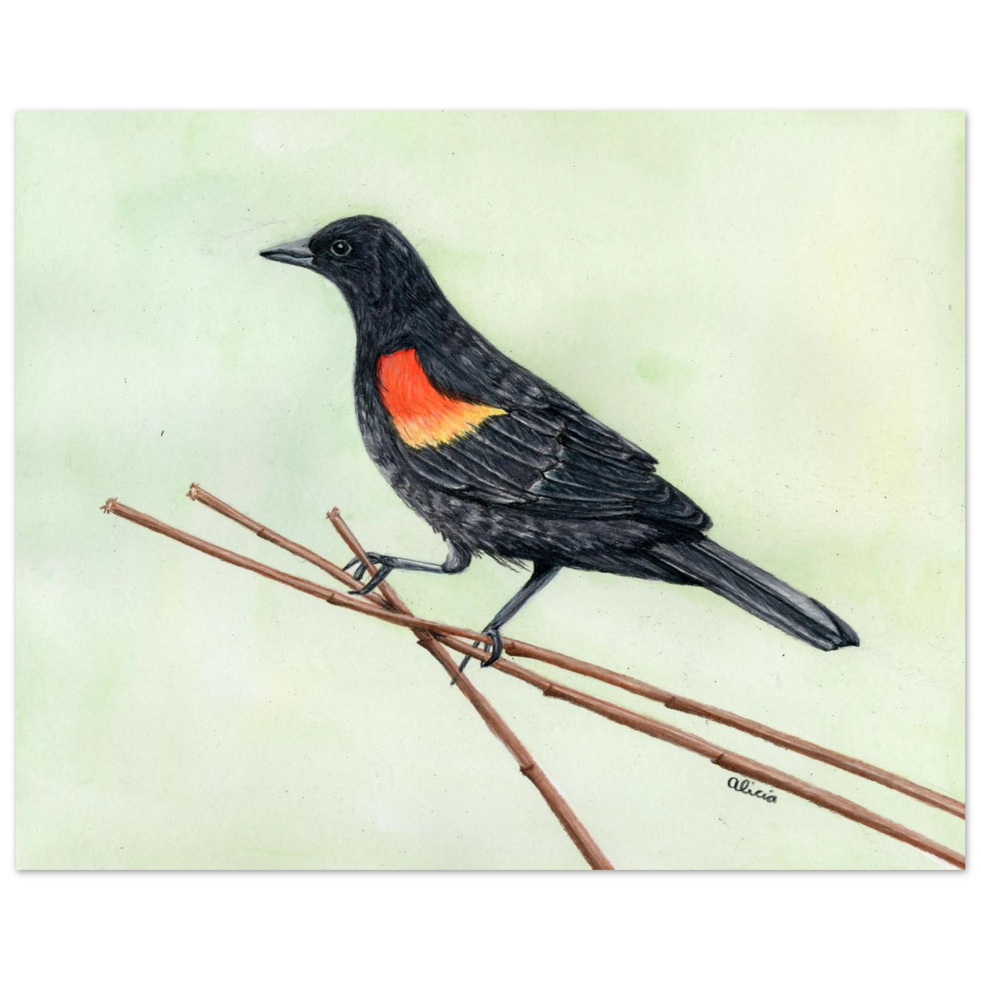 a8d5d402-f835-45e3-8393-c18fad96b401