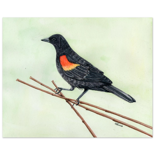 a8d5d402-f835-45e3-8393-c18fad96b401