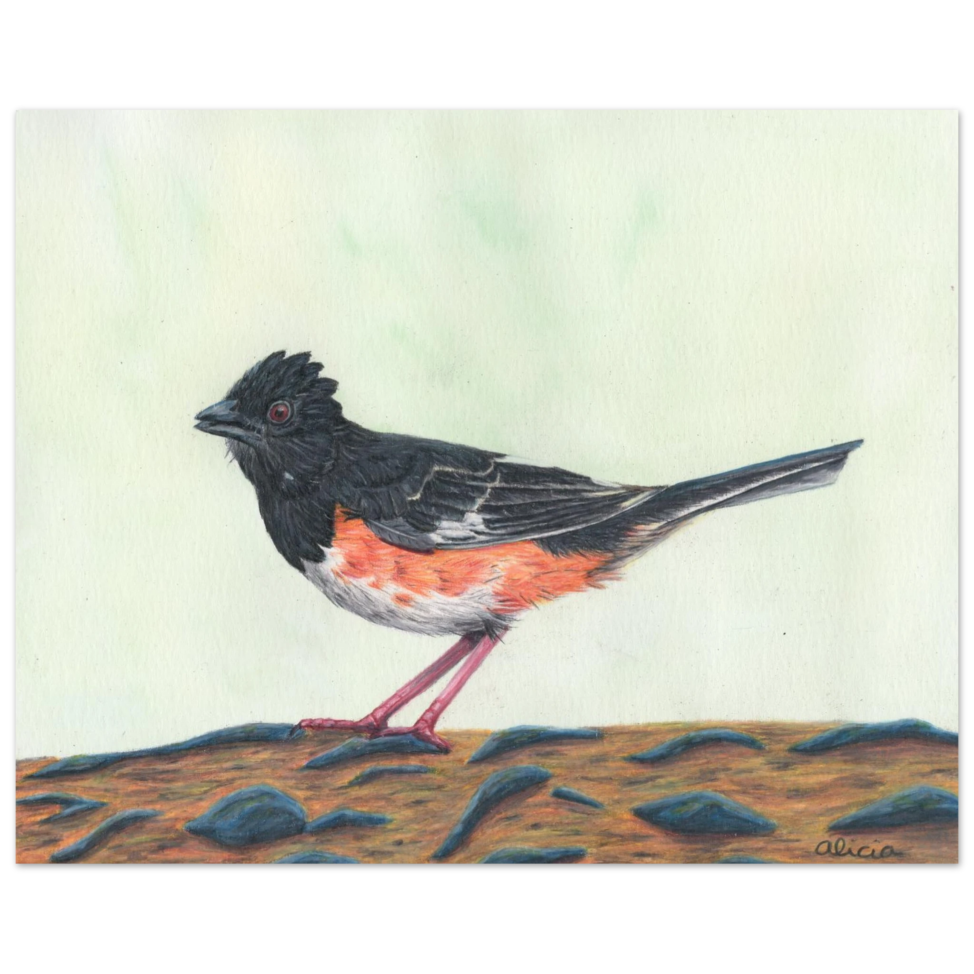 b120fc8c-c03b-4dfa-98d0-d7f33d6f4e21