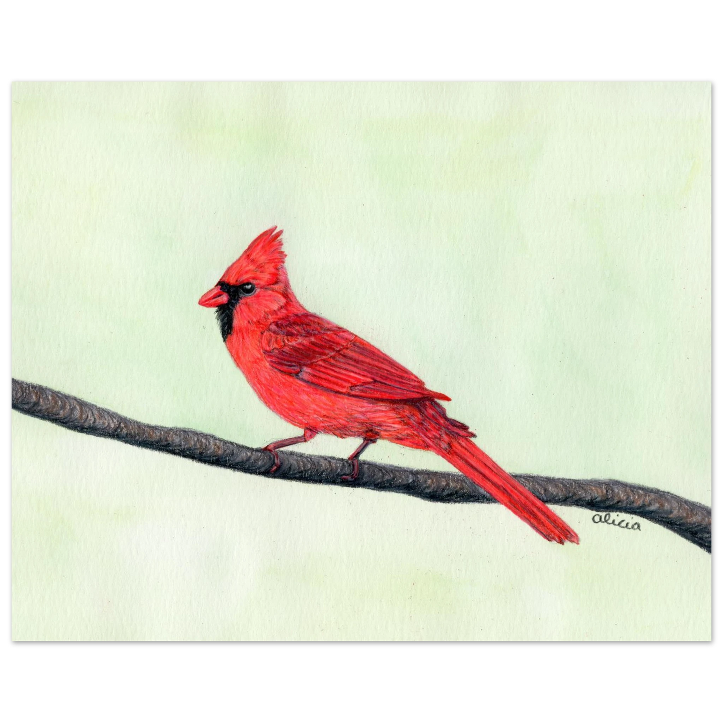 e6038233-dbcb-4cc3-a92c-953284cfab69