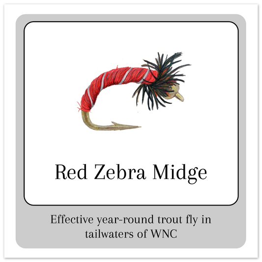 e763cc9f-eb1e-45c4-8192-0d0b93f2381b