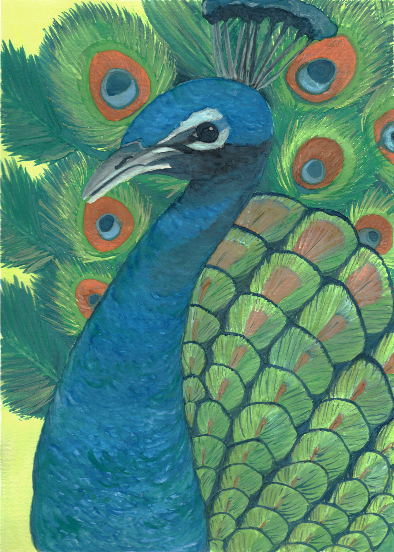 Regal Peacock Signed Print