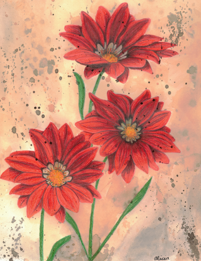 Red Gazanias Signed Print